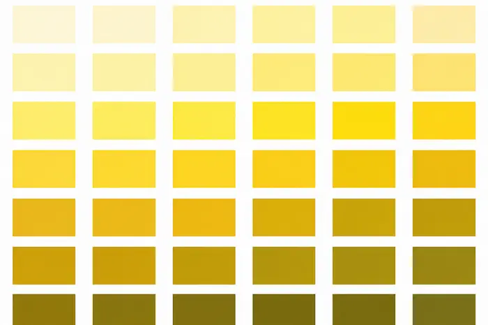 Amarillo Optimismo, energía y creatividad