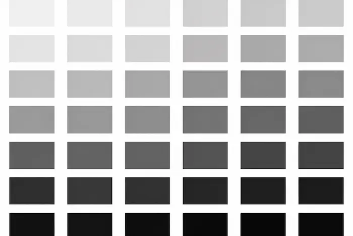 Negro Elegancia, exclusividad y sofisticación