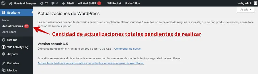 demuestra como se podría actualizar los plugins de wordpress