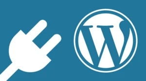 logo de wordpress y apartado de plugins y temas