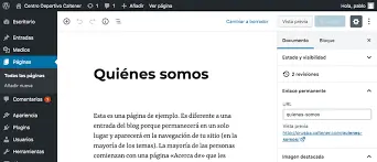 se muestra el apartado de paginas en wordpress