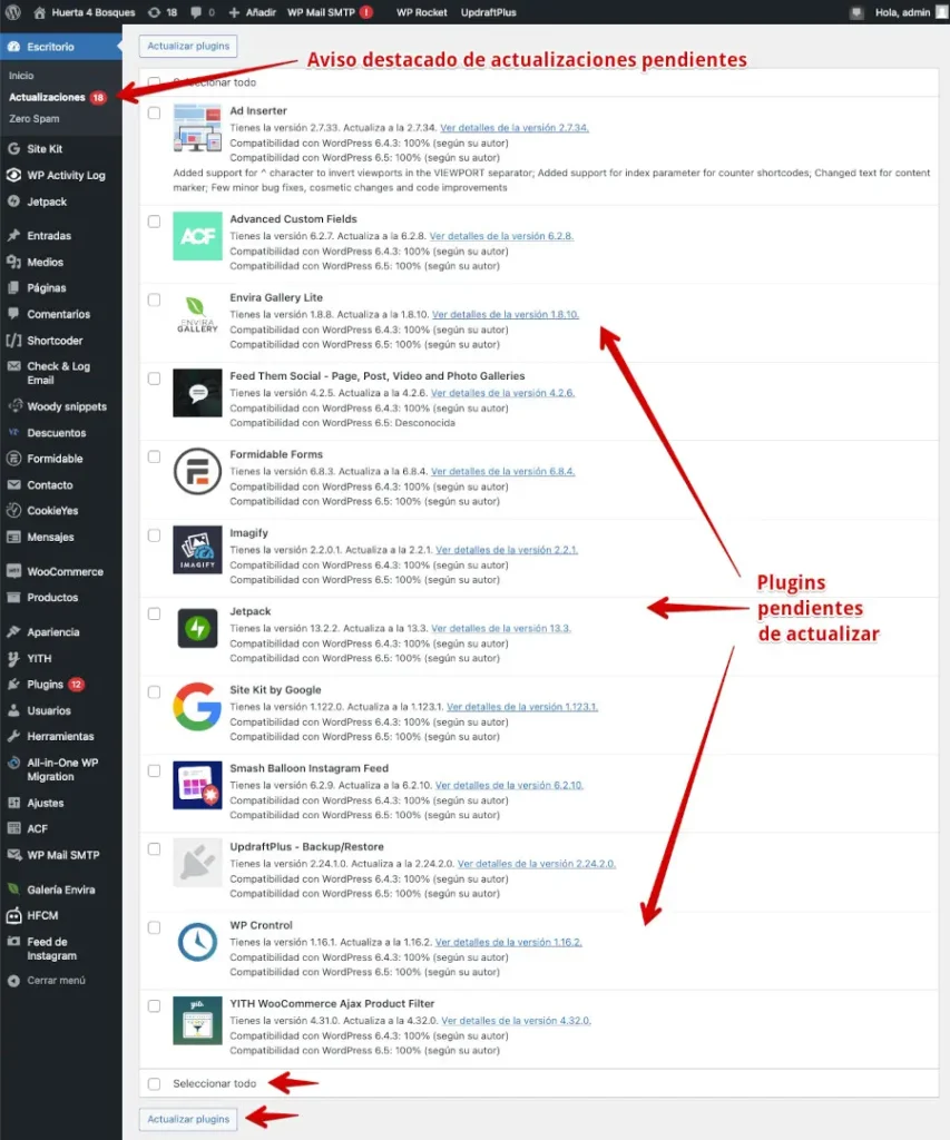 pasos para actualizar manualmente el plugin