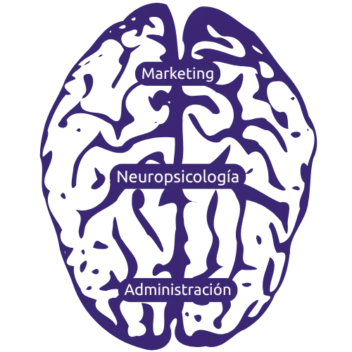 metodologia de agencia de marketing en lima