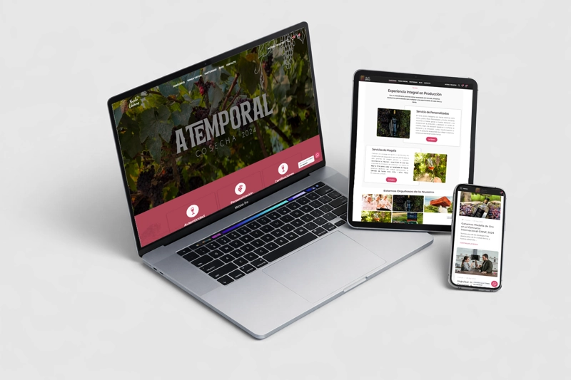 Agencia de paginas web Nyrla Levano