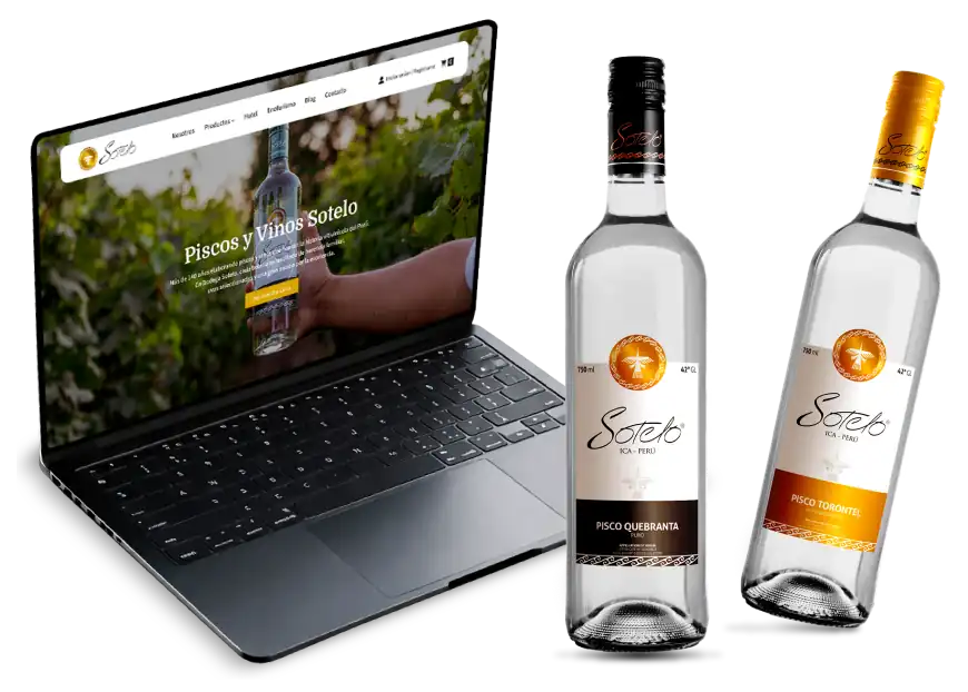 Marketing digital para la marca de Sotelo