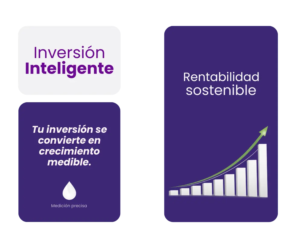 Como estructuramos una inversion rentable con nuestra agencia Google Ads en Lima Peru