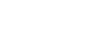 Logo de Ethnica, marca que incrementó su visibilidad en Google con nuestra agencia SEO
