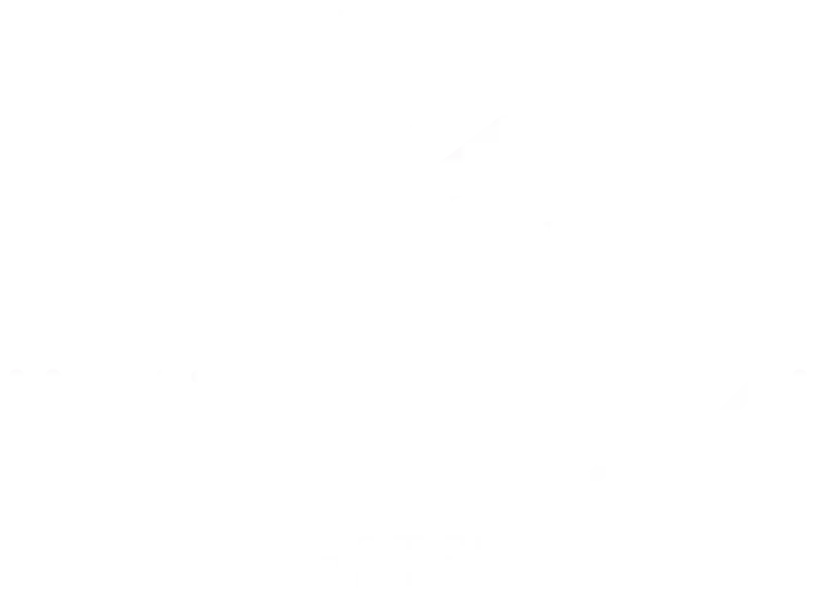 Logotipo de Intiumi, cliente de nuestra agencia de marketing para hoteles